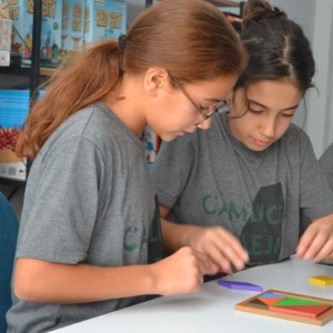 alt_1Şanlıurfa Çamlıca Koleji