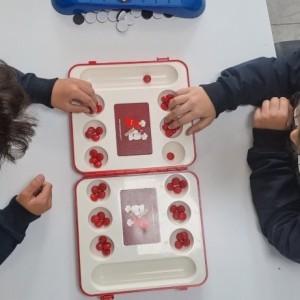 alt_1Şanlıurfa Çamlıca Koleji