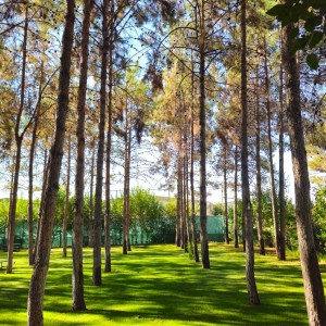 alt_1Şanlıurfa Çamlıca Koleji