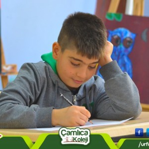 alt_1Şanlıurfa Çamlıca Koleji