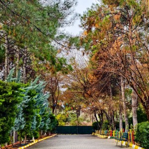 alt_1Şanlıurfa Çamlıca Koleji