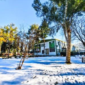 alt_1Şanlıurfa Çamlıca Koleji