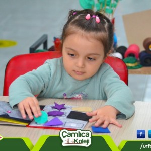 alt_1Şanlıurfa Çamlıca Koleji