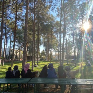 alt_1Şanlıurfa Çamlıca Koleji