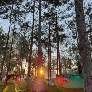 alt_1Şanlıurfa Çamlıca Koleji