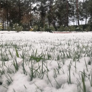 alt_1Şanlıurfa Çamlıca Koleji