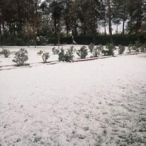 alt_1Şanlıurfa Çamlıca Koleji