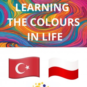 Şanlıurfa Çamlıca Koleji